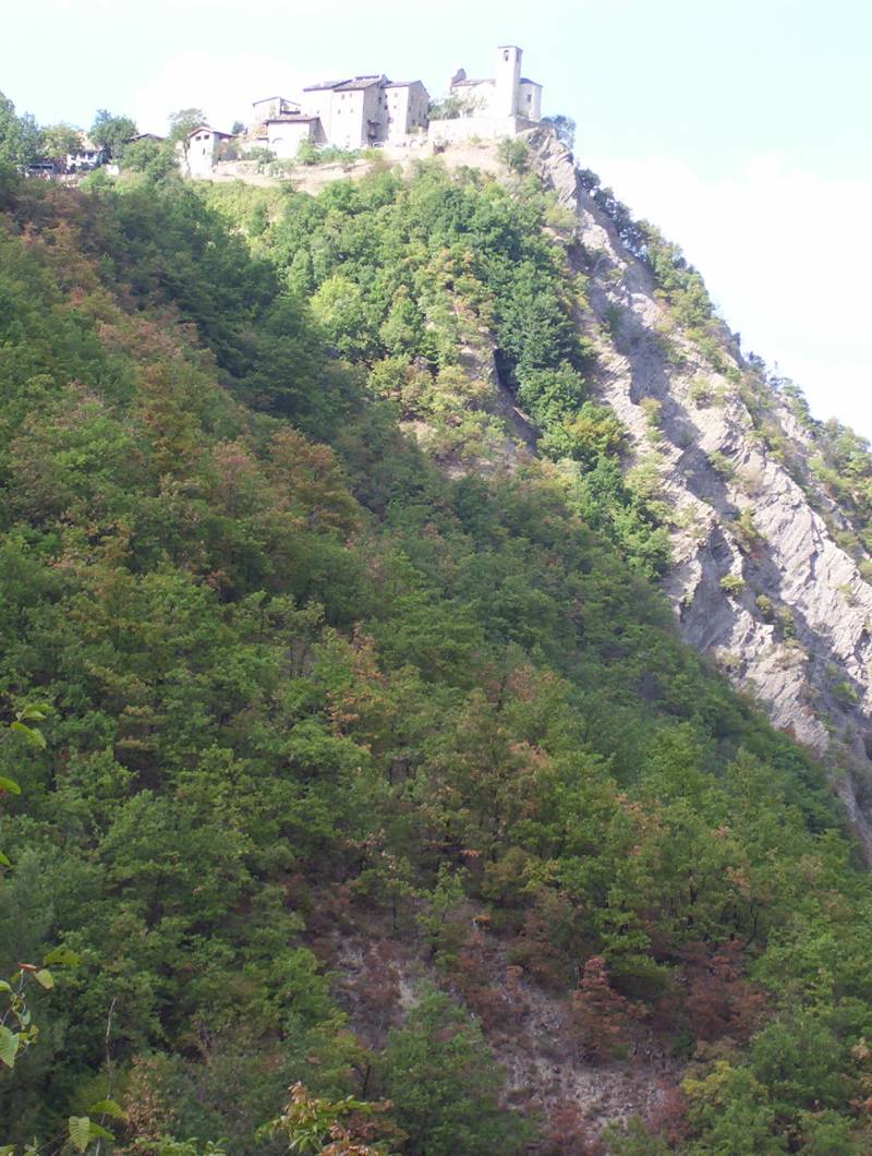 brugnello.jpg