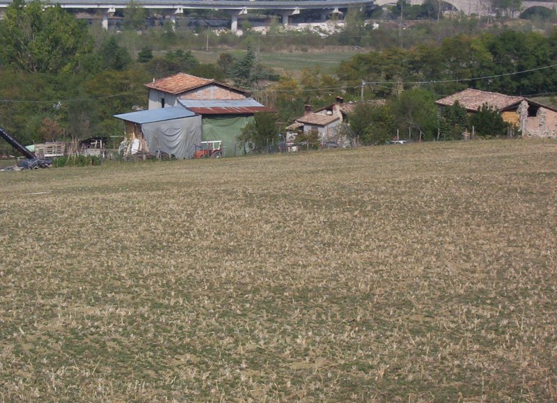 cannetosotto.jpg